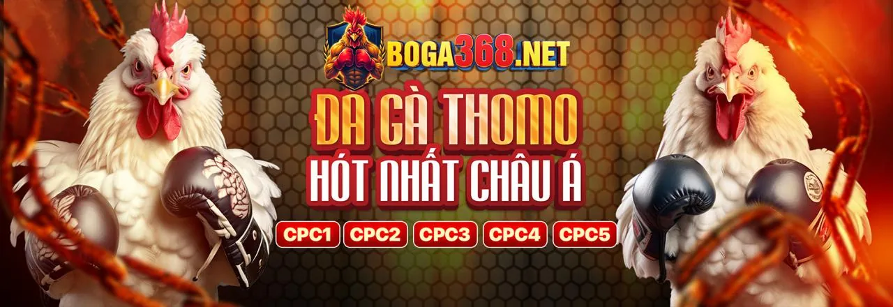 Ứng dụng Sutbong123 trên điện thoại